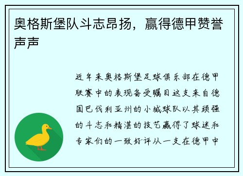奥格斯堡队斗志昂扬，赢得德甲赞誉声声